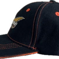 Ski-doo Cap X-Team Black