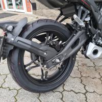 650DSX E5, black, BLACK FRIDAY
