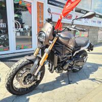 Leoncino 800 Trail, hnědá, Euro 5