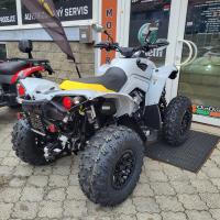 Renegade 650 X XC ABS MY24 Catalyst Gray Neo Yellow