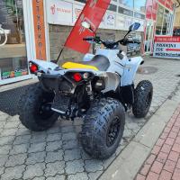 Renegade 1000R XXC MY24 Catalyst Gray Neo Yellow