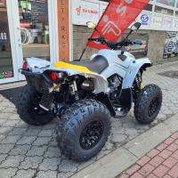 Renegade 1000R XXC MY24 Catalyst Gray Neo Yellow