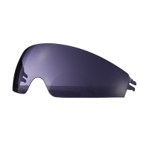 SUN VISOR FF800 TINTED (STORM II)