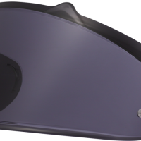 FF807 VISOR TINTED (DRAGON)