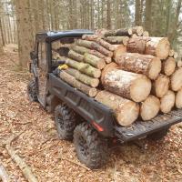 Traxter 6x6 DPS HD10 MY26, Compass Green