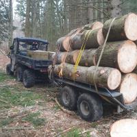 Traxter 6x6 DPS HD10 MY26, Compass Green