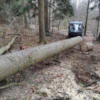 Traxter 6x6 DPS HD10 MY26, Compass Green