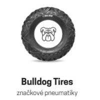 Electric UTV LH80DU, E5+, White, NOVINKA