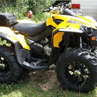 MUD LITE XTR 12"